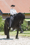 woman rides Friesian horse
