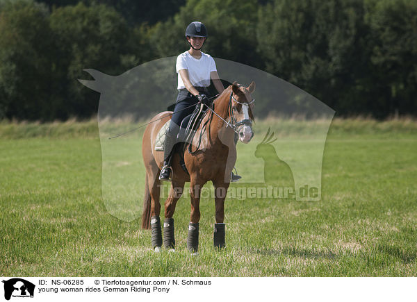 young woman rides German Riding Pony / NS-06285