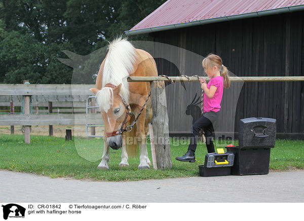 girl with haflinger horse / CR-01842