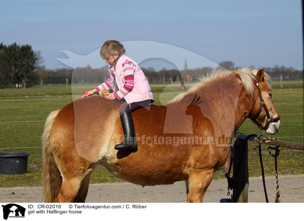 girl with Haflinger horse / CR-02016