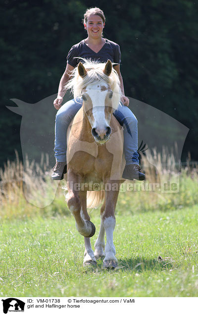 girl and Haflinger horse / VM-01738