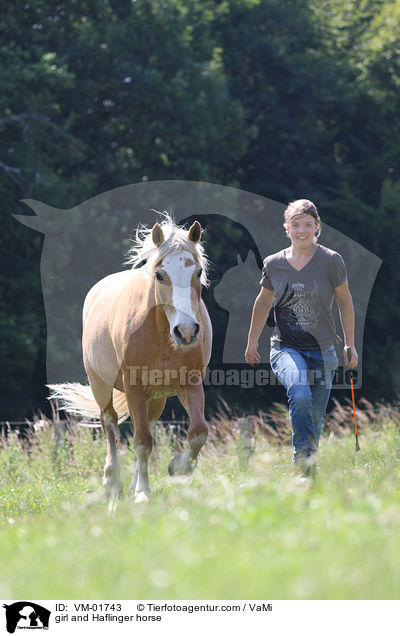 girl and Haflinger horse / VM-01743