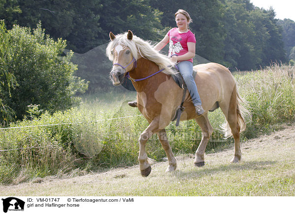 girl and Haflinger horse / VM-01747