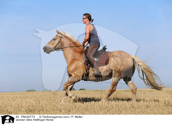 woman rides Haflinger Horse / PM-06773