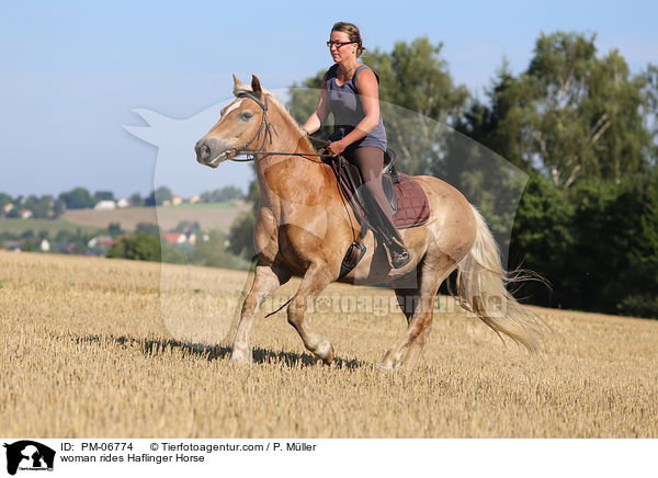 woman rides Haflinger Horse / PM-06774