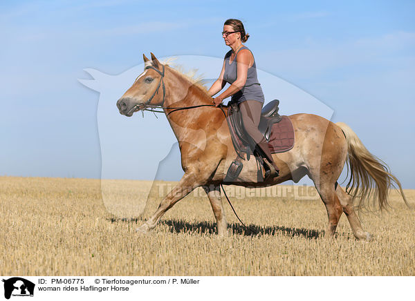 woman rides Haflinger Horse / PM-06775