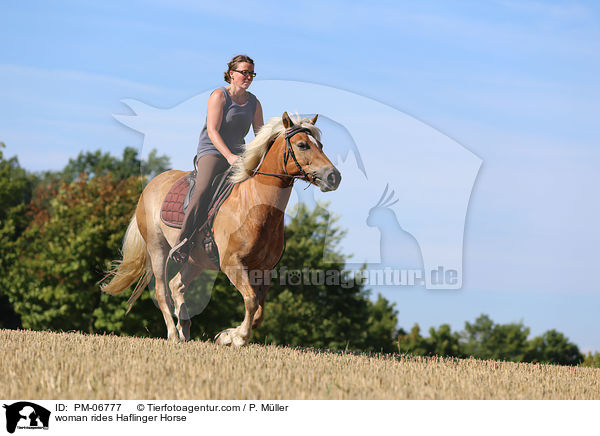 woman rides Haflinger Horse / PM-06777