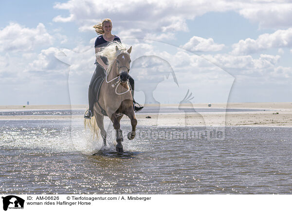 woman rides Haflinger Horse / AM-06626