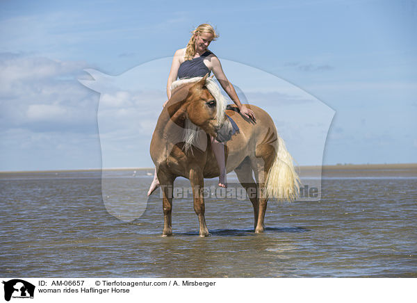 woman rides Haflinger Horse / AM-06657