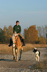 woman rides haflinger horse and is followed by a dog