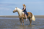 woman rides Haflinger Horse