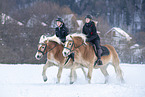 riders with Haflinger horses