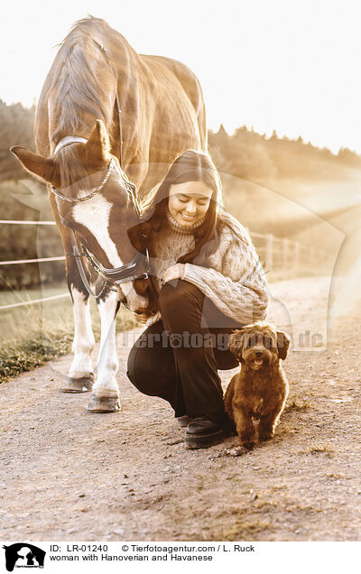 woman with Hanoverian and Havanese / LR-01240