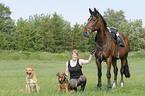 woman with Hanoverian and dogs