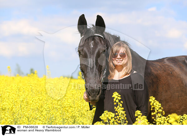 woman and Heavy Warmblood / PM-06628
