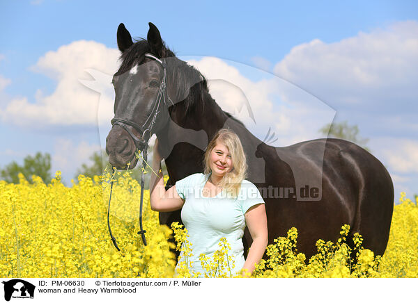 woman and Heavy Warmblood / PM-06630