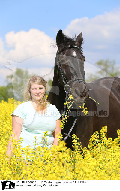 woman and Heavy Warmblood / PM-06632