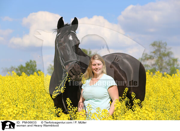 woman and Heavy Warmblood / PM-06633