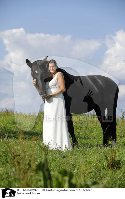 bride and horse / RR-90237