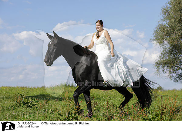 bride and horse / RR-90244