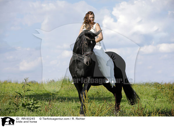 bride and horse / RR-90245