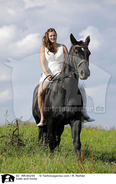 bride and horse / RR-90246