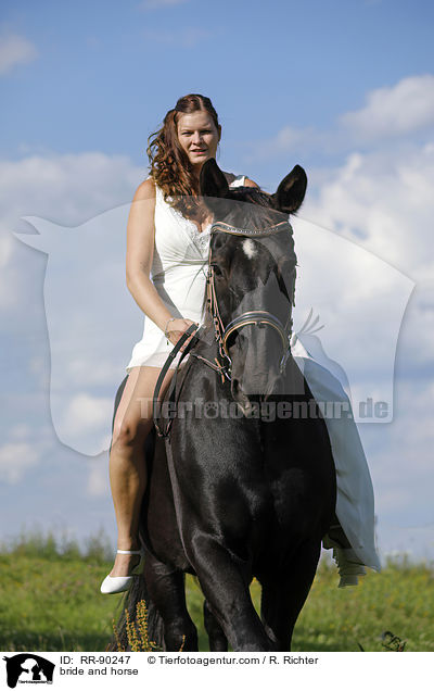 bride and horse / RR-90247