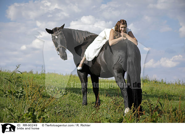 bride and horse / RR-90249