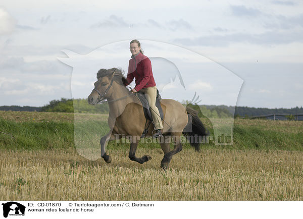 woman rides Icelandic horse / CD-01870