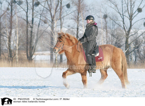woman rides Icelandic horse / PM-05526