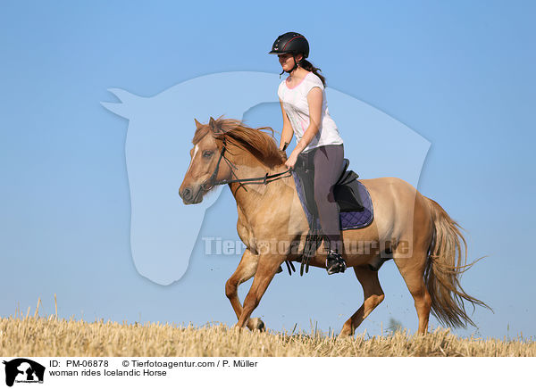 woman rides Icelandic Horse / PM-06878