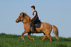 woman rides Icelandic horse in the meadow