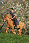 woman rides Icelandic horse in spring