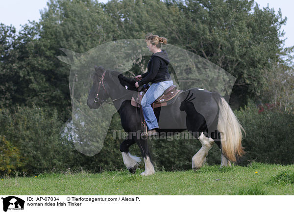 woman rides Irish Tinker / AP-07034