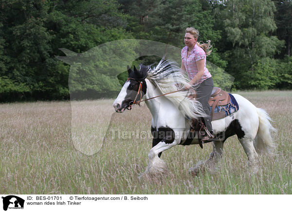 woman rides Irish Tinker / BES-01701