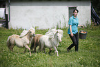woman and Mini Shetland Ponies