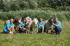 humans and Mini Shetland Ponies