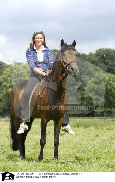 woman rides New Forest Pony / AP-07321