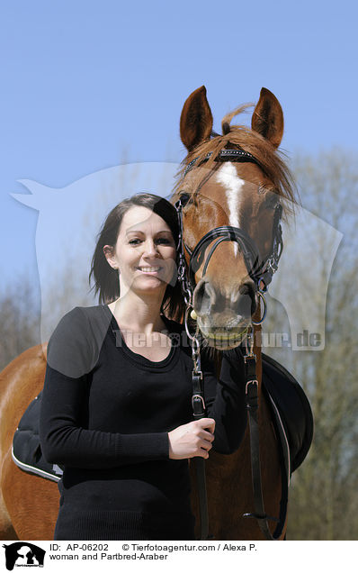 woman and Partbred-Araber / AP-06202