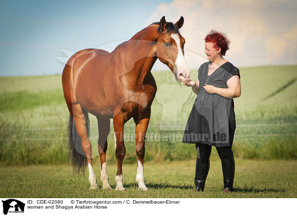 woman and Shagya Arabian Horse / CDE-02080