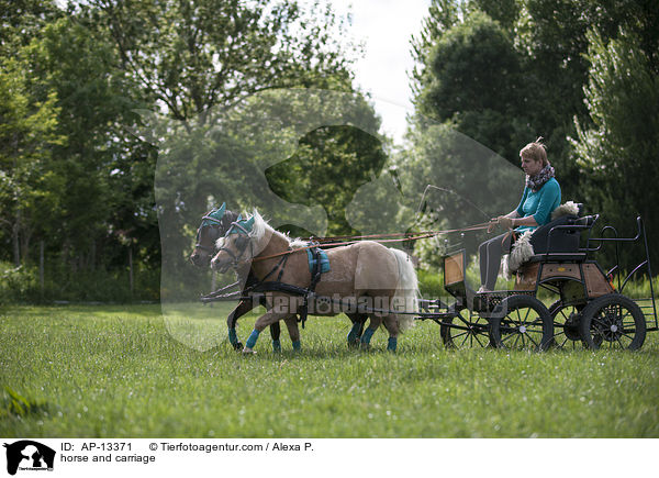 horse and carriage / AP-13371