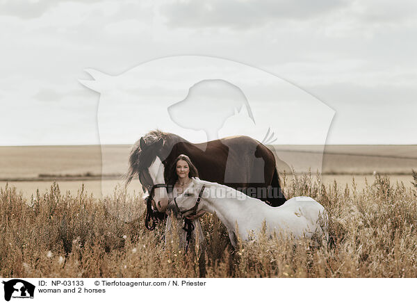 woman and 2 horses / NP-03133