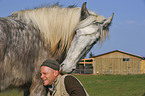 man and Shire Horse