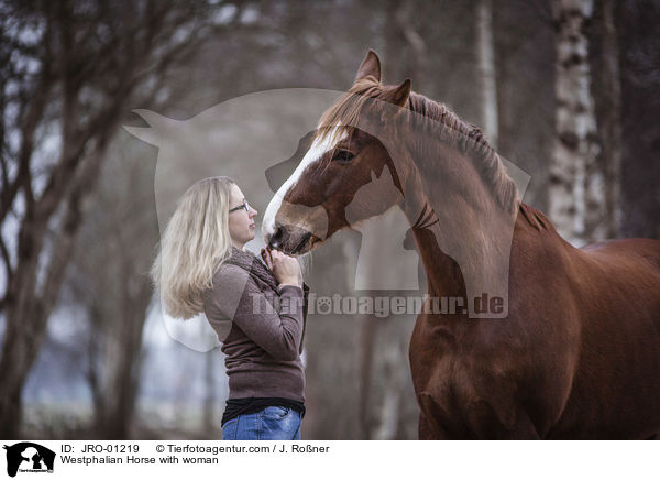 Westphalian Horse with woman / JRO-01219