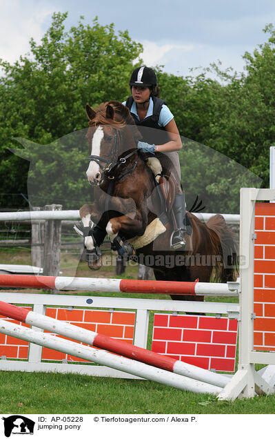 jumping pony / AP-05228