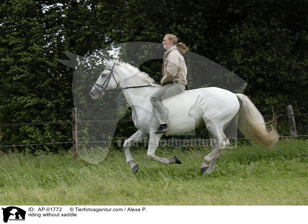 riding without saddle / AP-01772