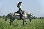 western rider