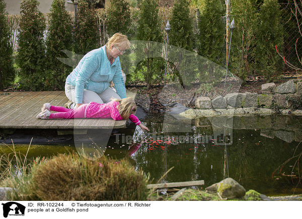 people at a Goldfish pond / RR-102244