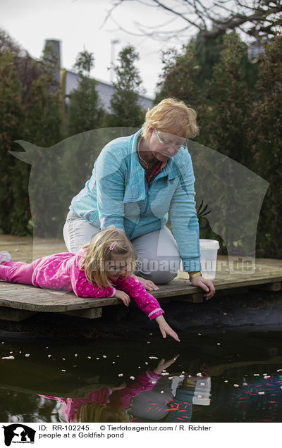 people at a Goldfish pond / RR-102245