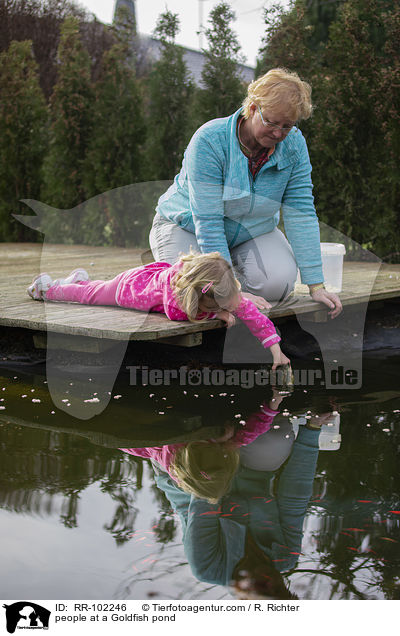 people at a Goldfish pond / RR-102246